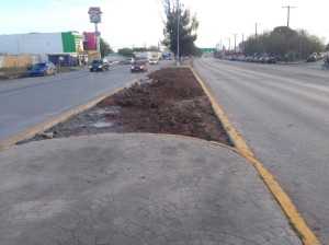 12528519_1289375911088225_1012389055_o