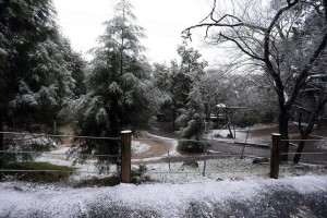 12651216_10154007625889739_3979092521903092346_n