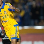 Zarpazo tigre