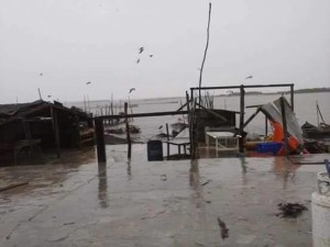 12527830_1691205781120259_1431772098_n