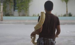 13045517_1707433442830826_1408478350_n