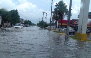 13319004_1720190548221782_155714892_n