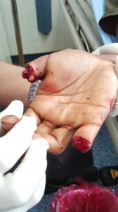 13487605_1369220403094606_243543628_n