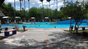 13522561_1728756990698471_1621809300_n