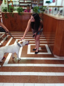 13600236_1157123214329189_7140361768342063788_n