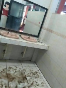 13608113_1732569273650576_871676754_n