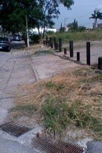 13876401_1738212129799899_1777154918794281176_n