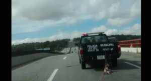 c591ac50786b9ae0f55ab575851ffb11