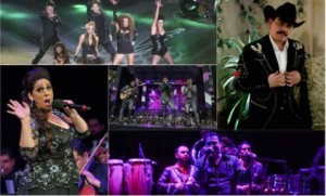 1009077_npadvmainfea