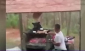 1014594_npadvmainfea