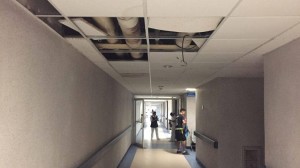 13956832_10153951453217833_1230565735_n