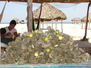 semeantojalapesca4ch