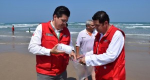 d2dg2vn921yeqzw55ilr