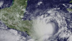 e35800906da54a7430dc9ecd3ce14f53-jpg_1718483346