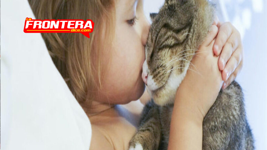 FORMATO NOTAS NUEVO_Mesa de trabajo 1