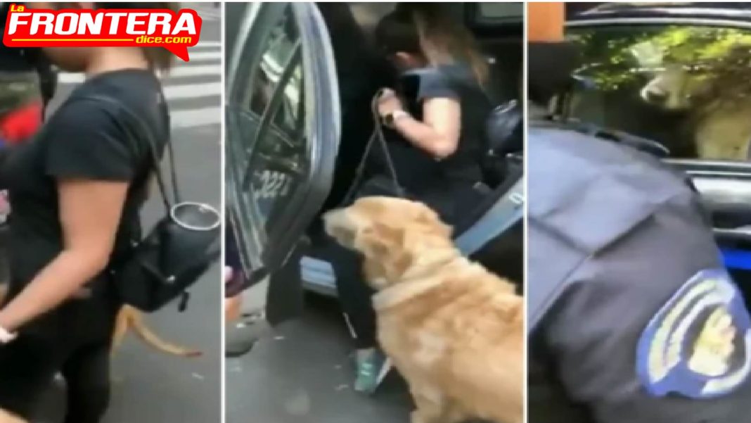 FORMATO NOTAS NUEVO_Mesa de trabajo 1 copia