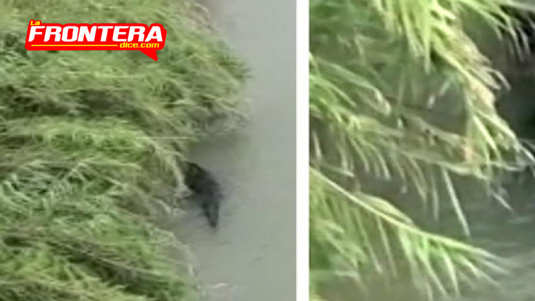 FORMATO NOTAS NUEVO_Mesa de trabajo 1 copia 2