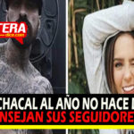 Todas quieren un babo en su vida