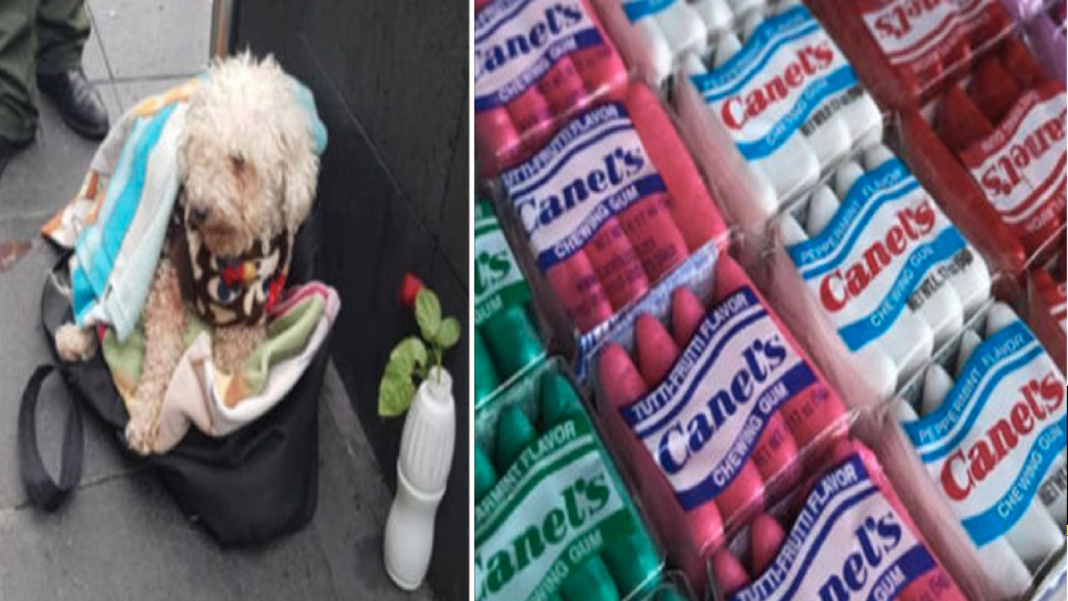 FORMATO NOTAS NUEVO (1)_Mesa de trabajo 1 copia 3