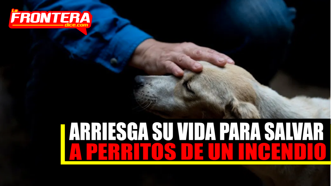 FORMATO NOTAS NUEVO (1)_Mesa de trabajo 1