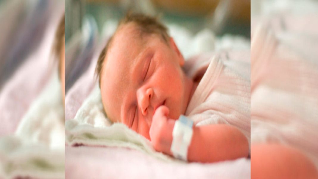 FORMATO NOTAS NUEVO (1)_Mesa de trabajo 1 copia 3