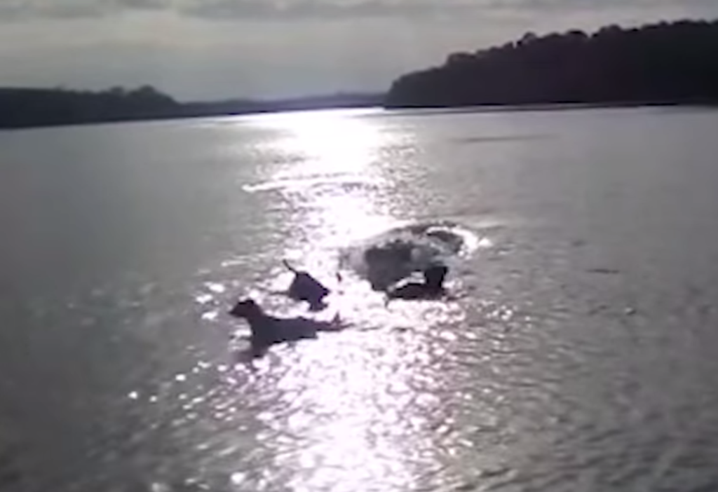 6b73a735-captura-de-pantalla-2019-10-28-a-las-10.23.27-1024x702