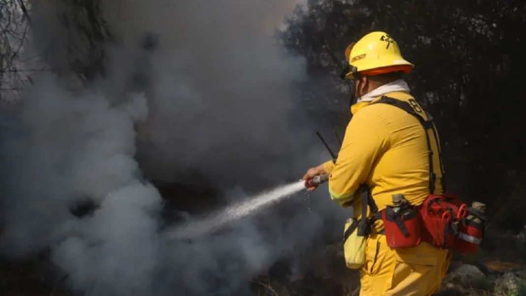 FORMATO NOTAS NUEVO (1)_Mesa de trabajo 1 copia 2