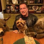 VIDEO: Arnold Schwarzenegger adopta y presume a ‘Lulu’