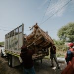 Beneficia a familias de diversas colonias programa “Descacharrizando Matamoros”