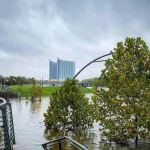 Beta inunda Houston