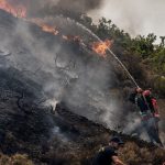 Impacta consumo de carbón en el mundo y su aporte al calentamiento global