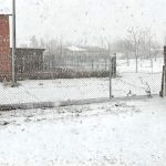 Trump se presenta ante tribunal de Washington para reclamar «inmunidad absoluta»