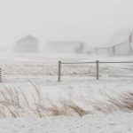 Qué es un “ciclón bomba”, fenómeno de frío extremo que congelaría a Estados Unidos