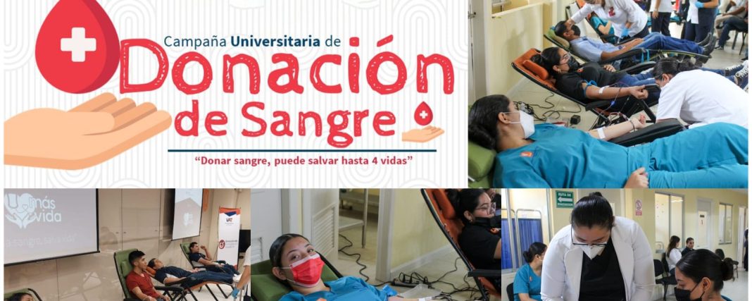 WhatsApp Image 2024-06-12 at 2.44.49 PM