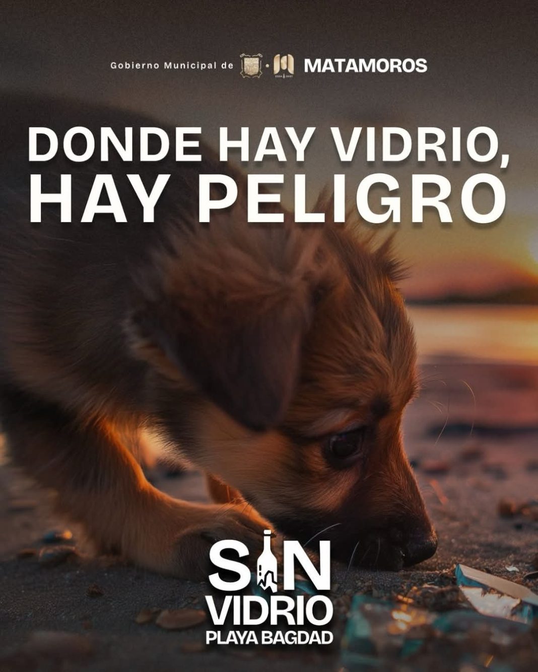 9408a52a-5d33-4fc5-9179-5da5a6ec11c4