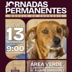 Gobierno de Beto Granados lleva vacunación antirrábica a Ampliación Cabras Pintas
