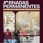 Gobierno municipal promueve la descacharrización como estrategia preventiva de salud