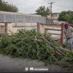 Refuerza Gobierno de Beto Granados acciones de mantenimiento en áreas verdes y avenidas