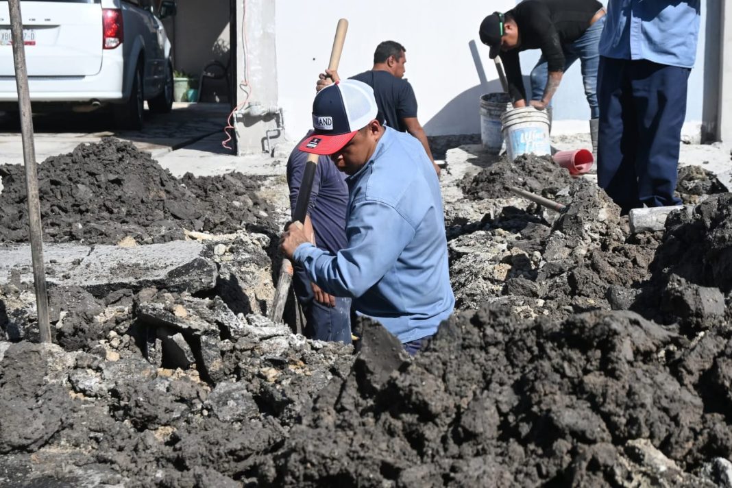 2b81ed87-3a46-4753-899f-96c936c6df90