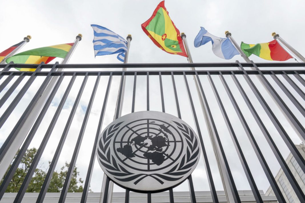 Relatora de ONU afirma que no hay seguridad para defensores de derechos en sur de México