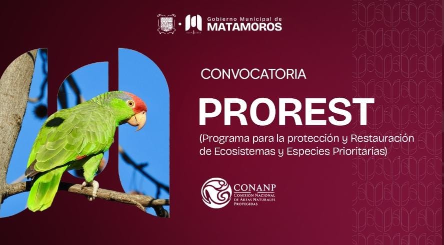 b07e5d54-fc58-464c-9502-cd3708846e89