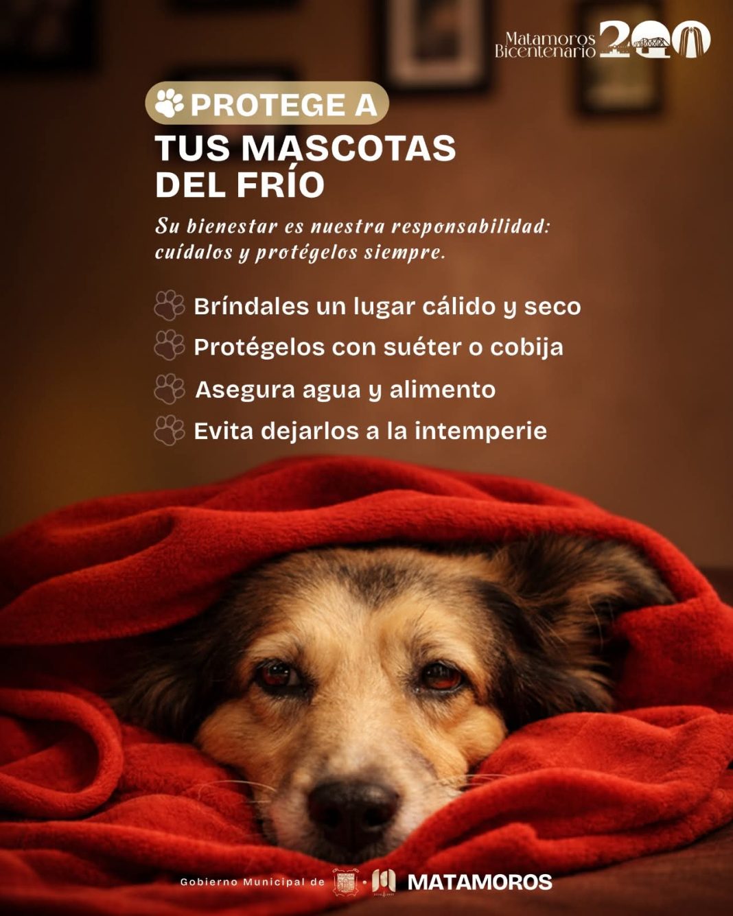 b67562cc-7948-4b3f-a783-7076c093c9df