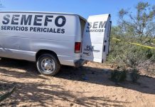 Llamada anónima revela fosa clandestina en BCS; hallan cuerpos y restos humanos