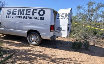 Llamada anónima revela fosa clandestina en BCS; hallan cuerpos y restos humanos