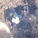 Así fue la detención del ‘Jardinero’, líder del CJNG; fue seguido por 19 meses