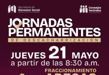 Jornadas Permanentes de Descacharrización