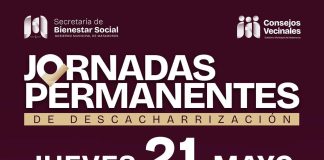 Jornadas Permanentes de Descacharrización