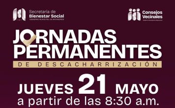 Jornadas Permanentes de Descacharrización
