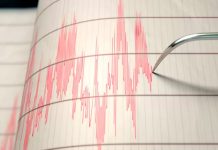 Video: Sismo sorprende a habitantes y turistas en Cancún y Yucatán Primeros informes señalan que el temblor percibido en Cancún tuvo epicentro en Cuba, con una magnitud preliminar de 6.1 JUNIO 8, 2026 La tarde de este lunes 8 de junio se percibió un sismo en Quintana Roo y Yucatán. Primeros informes señalan que el temblor tuvo epicentro en Cuba, con una magnitud preliminar de 6.1 En redes sociales, habitantes y turistas compartieron videos en los que se advierte el fuerte movimiento ocasionado por el sismo. Señalaron que el temblor fue más perceptible en Cancún. El Ayuntamiento de Benito Juárez desplegó a Protección Civil para descartar afectaciones. Hasta el momento no se han reportado daños o personas lesionadas. En caso de requerir auxilio se exhortó a comunicarse al 911. Por su parte, el gobernador de Yucatán, Joaquín Díaz Mena, informó el temblor fue perceptible en Chetumal, Tizimín y Mérida. Asimismo se activaron los protocolos de Protección Civil, sin reportarse daños. Previamente, el Servicio Sismológico Nacional (SSN) registró un sismo magnitud 4.2 al noreste de Ticul, Yucatán, a una profundidad de 5 km. Usuarios de redes sociales reportaron haberlo sentido en Isla Mujeres y Cancún.