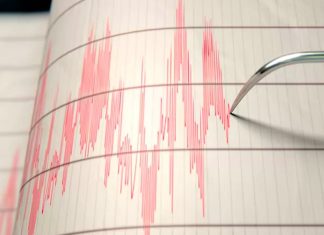 Video: Sismo sorprende a habitantes y turistas en Cancún y Yucatán Primeros informes señalan que el temblor percibido en Cancún tuvo epicentro en Cuba, con una magnitud preliminar de 6.1 JUNIO 8, 2026 La tarde de este lunes 8 de junio se percibió un sismo en Quintana Roo y Yucatán. Primeros informes señalan que el temblor tuvo epicentro en Cuba, con una magnitud preliminar de 6.1 En redes sociales, habitantes y turistas compartieron videos en los que se advierte el fuerte movimiento ocasionado por el sismo. Señalaron que el temblor fue más perceptible en Cancún. El Ayuntamiento de Benito Juárez desplegó a Protección Civil para descartar afectaciones. Hasta el momento no se han reportado daños o personas lesionadas. En caso de requerir auxilio se exhortó a comunicarse al 911. Por su parte, el gobernador de Yucatán, Joaquín Díaz Mena, informó el temblor fue perceptible en Chetumal, Tizimín y Mérida. Asimismo se activaron los protocolos de Protección Civil, sin reportarse daños. Previamente, el Servicio Sismológico Nacional (SSN) registró un sismo magnitud 4.2 al noreste de Ticul, Yucatán, a una profundidad de 5 km. Usuarios de redes sociales reportaron haberlo sentido en Isla Mujeres y Cancún.